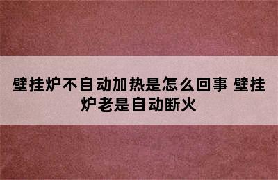 壁挂炉不自动加热是怎么回事 壁挂炉老是自动断火